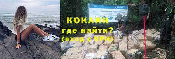 шишки Абинск