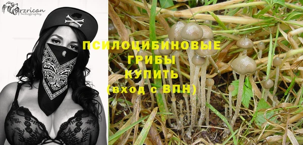 шишки Абинск