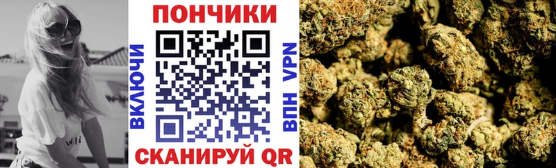 Бошки Шишки SATIVA & INDICA  МЕГА как зайти  Сычёвка  купить наркоту 